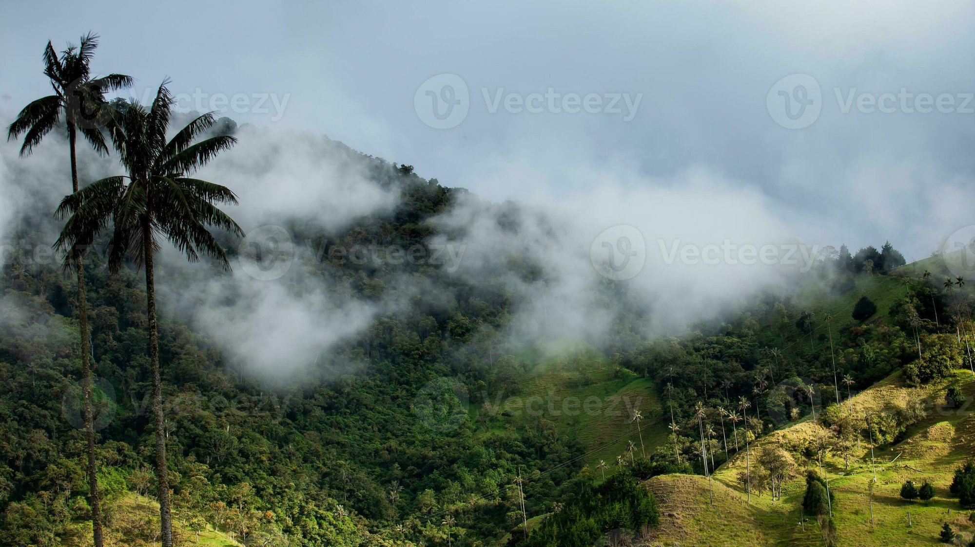 Paisaje tropical colombiano