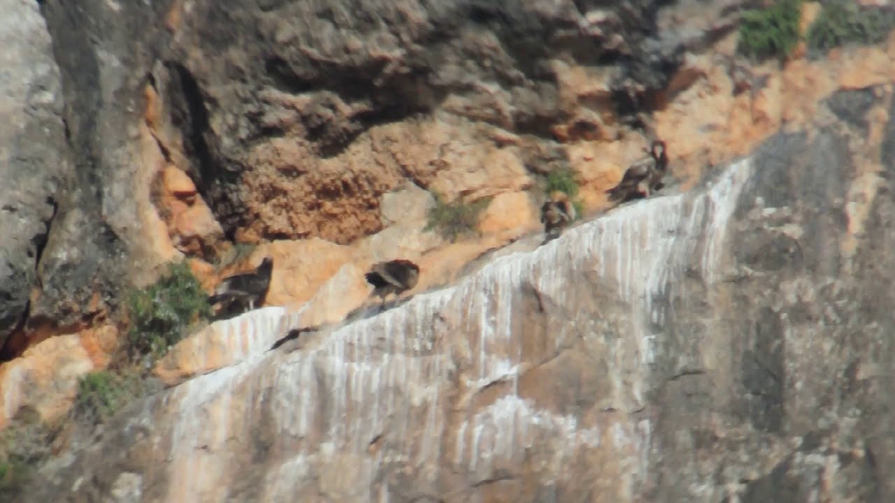 Hábitat de rapaces en el Atlas marroquí
